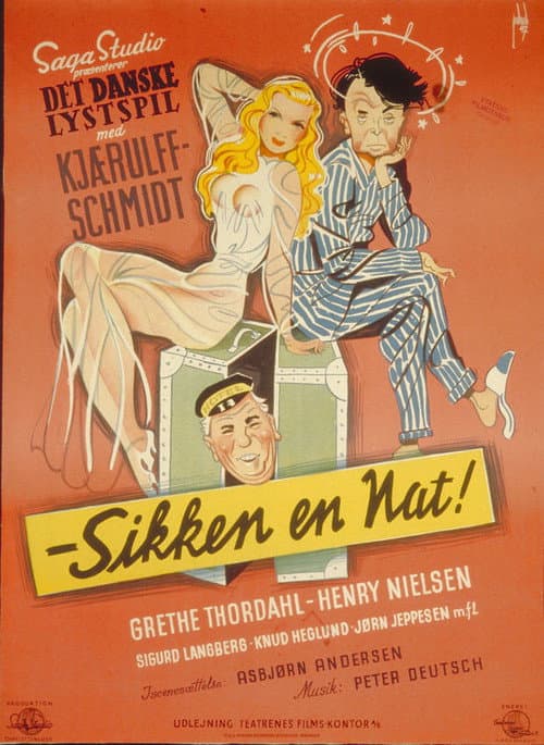 Poster for Sikken en nat