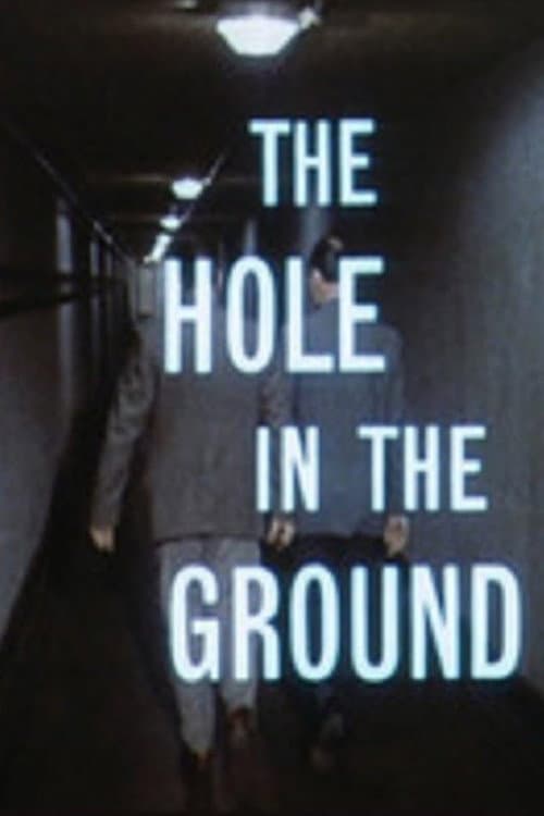 Poster for The Hole In The Ground