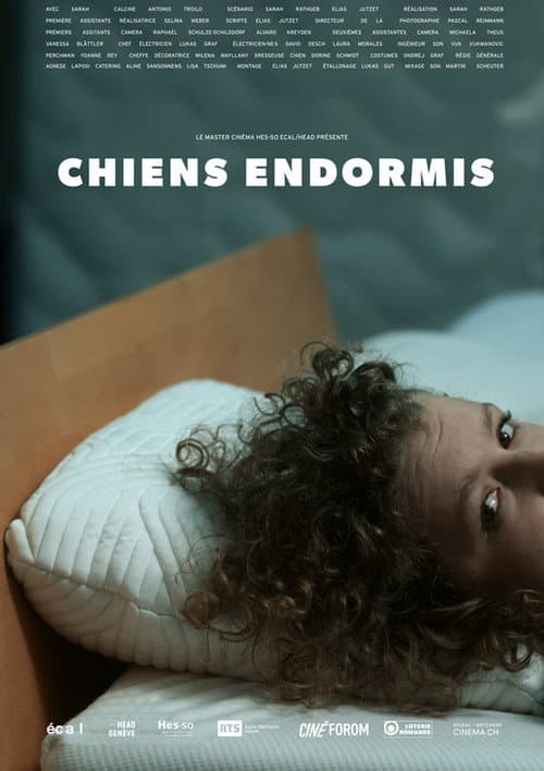 Poster for Chiens endormis