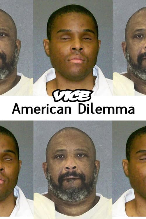 Poster for American Dilemma