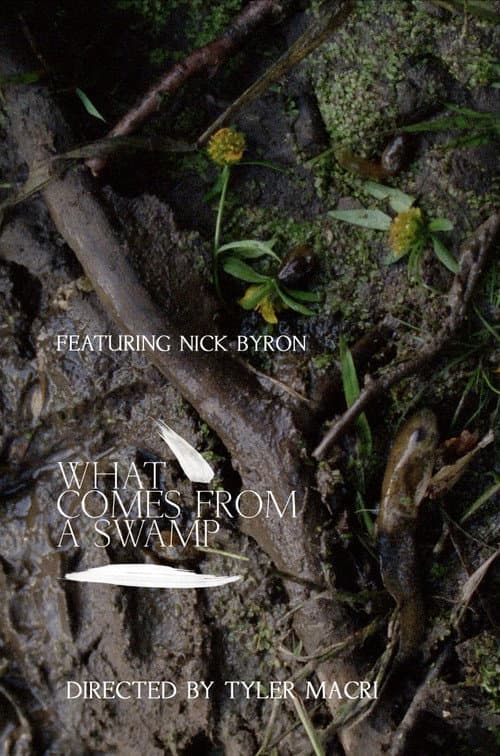 Poster for What Comes from a Swamp