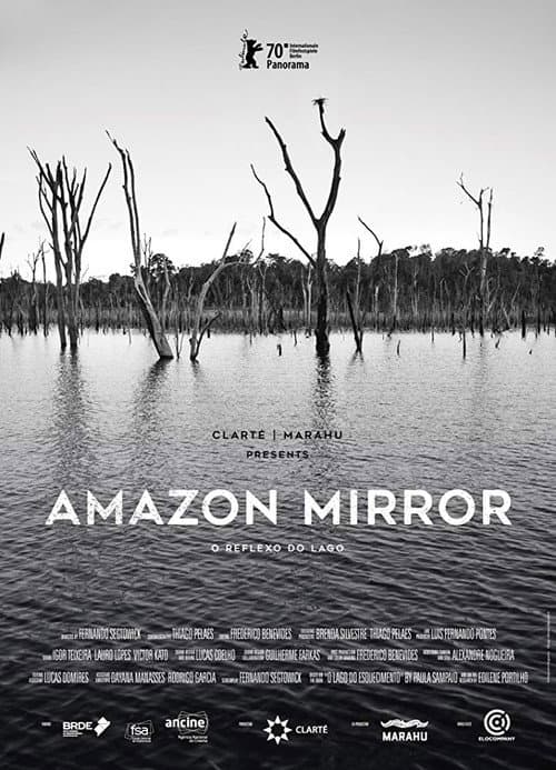 Poster for Amazon Mirror