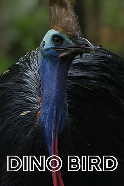 Poster for Dino Bird