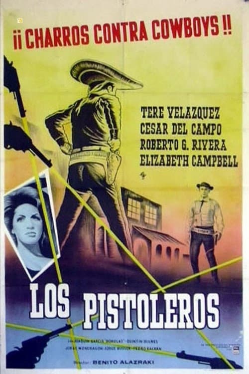 Poster for The Gunslingers