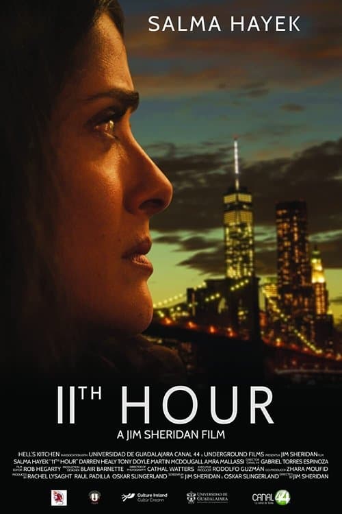 Poster for 11th Hour