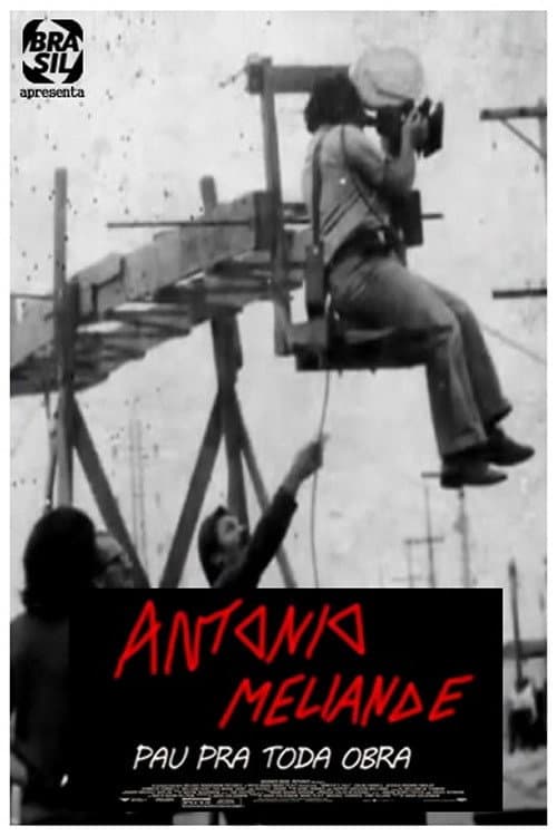 Постер до фільму «Antonio Meliande: Pau pra Toda Obra»