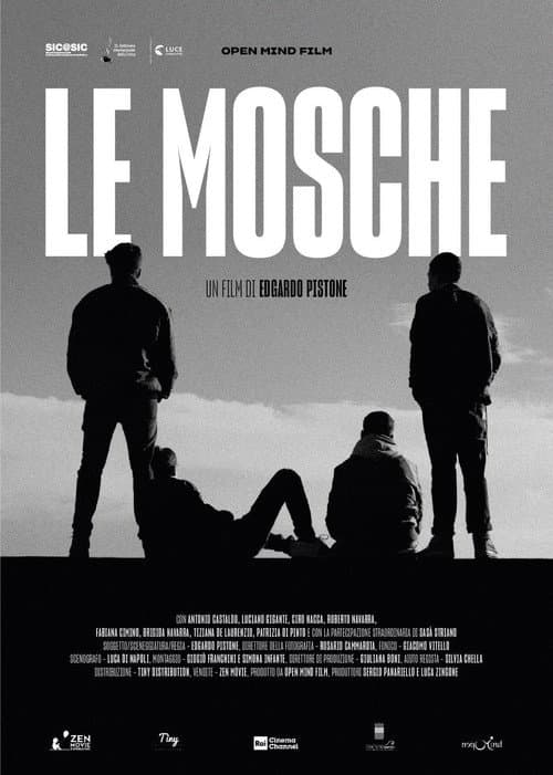 Poster for The Flies