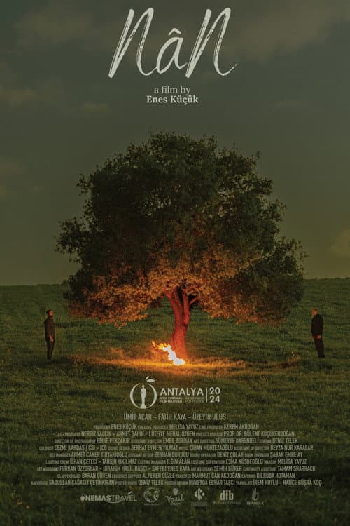 Poster for NâN