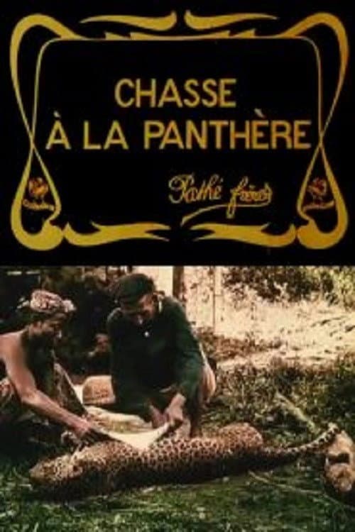 Poster for Hunting the Panther