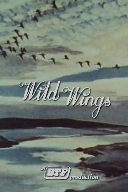Poster for Wild Wings