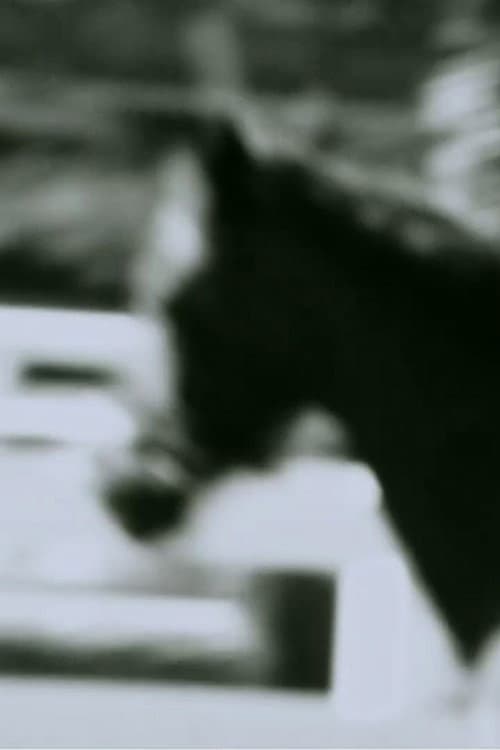 Poster for Untitled (Horse)