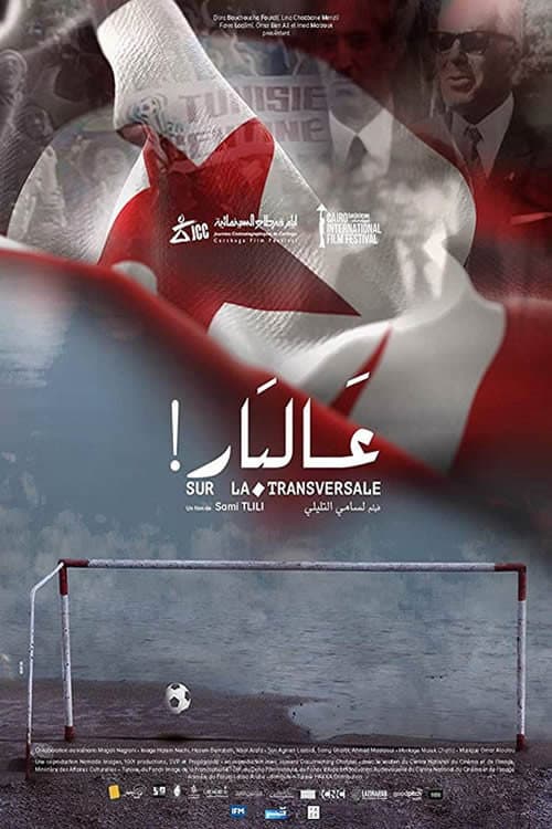 Poster for On the Crossbar