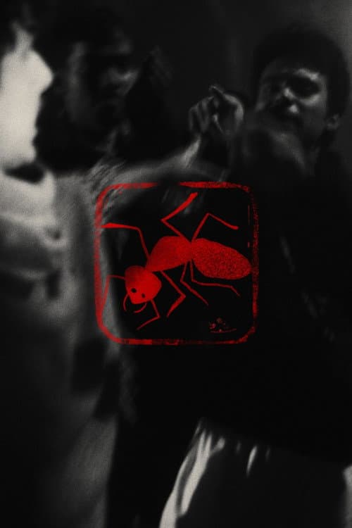 Poster for Bish Pipra