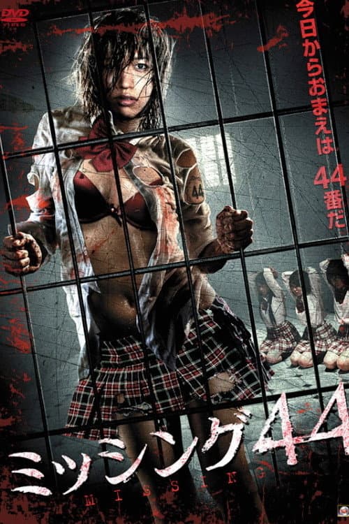 Poster for Missing 44