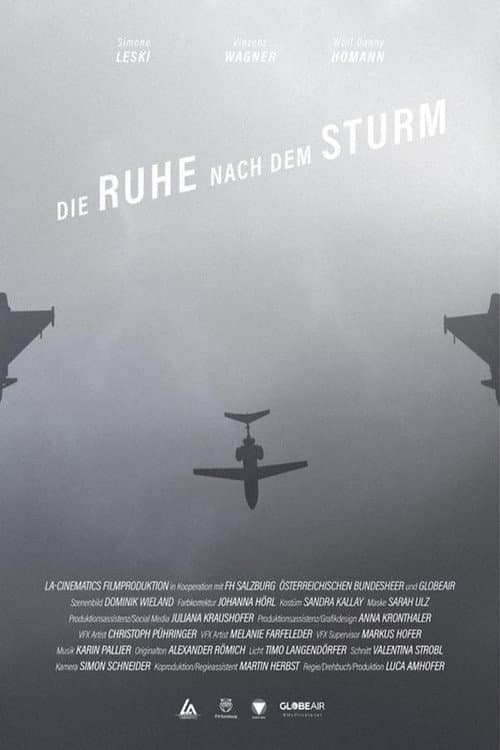 Poster for The Calm After the Storm