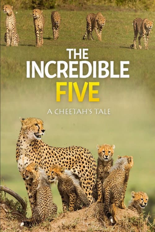 Poster for The Incredible Five: A Cheetah's Tale