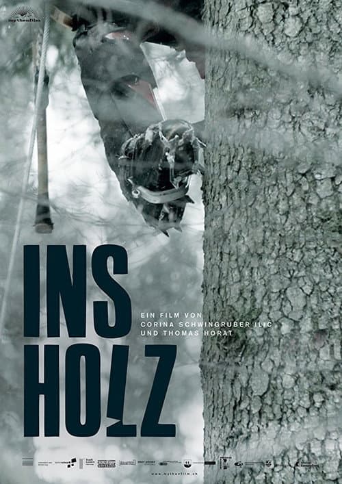 Poster for In the Woods