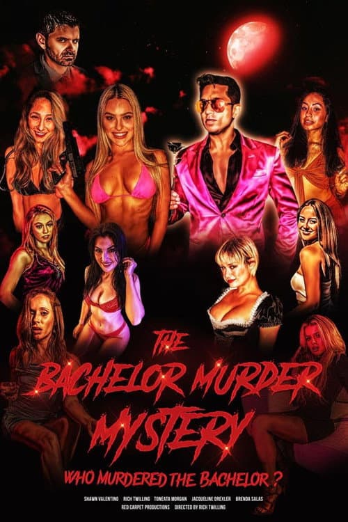 Poster for The Bachelor Murder Mystery: Who Murdered the Bachelor?