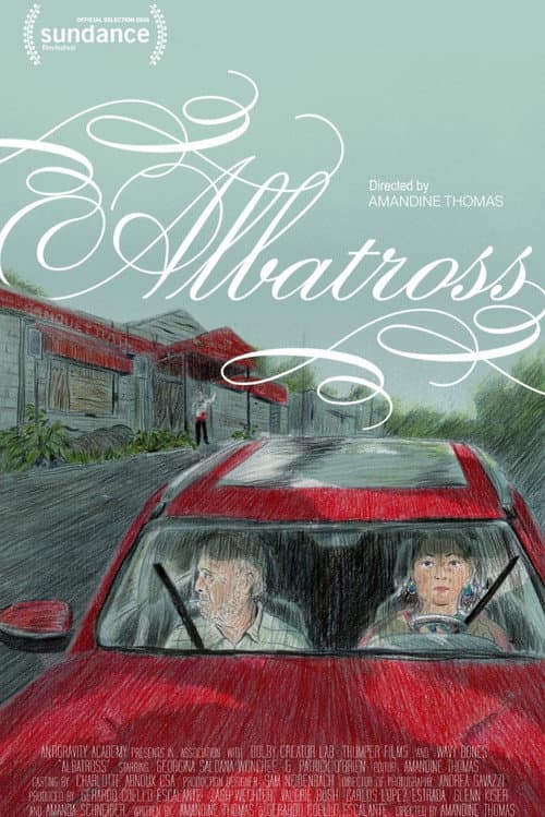 Poster for Albatross