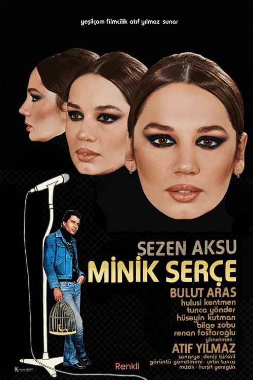 Poster for The Little Sparrow