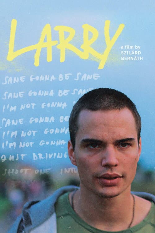 Poster for Larry