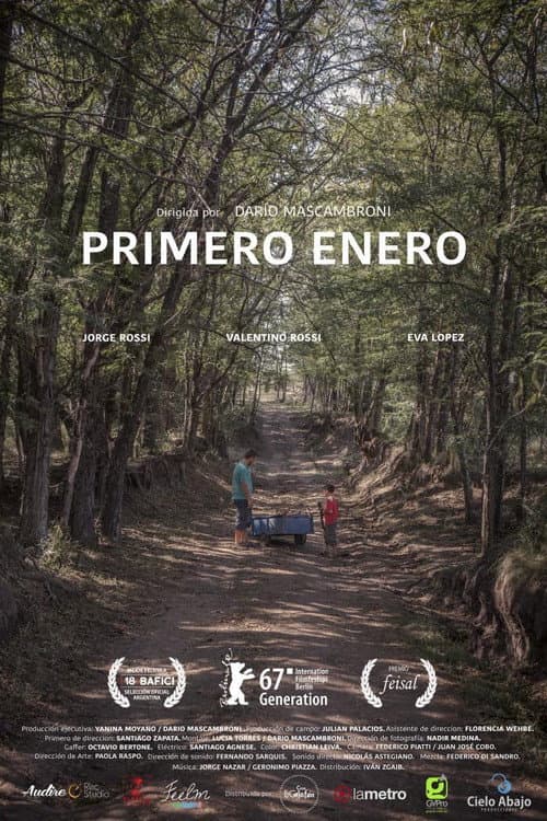 Poster for First January