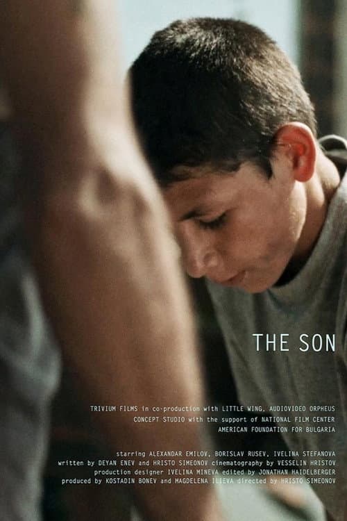 Poster for The Son