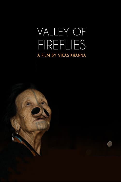 Poster for Valley of Fireflies