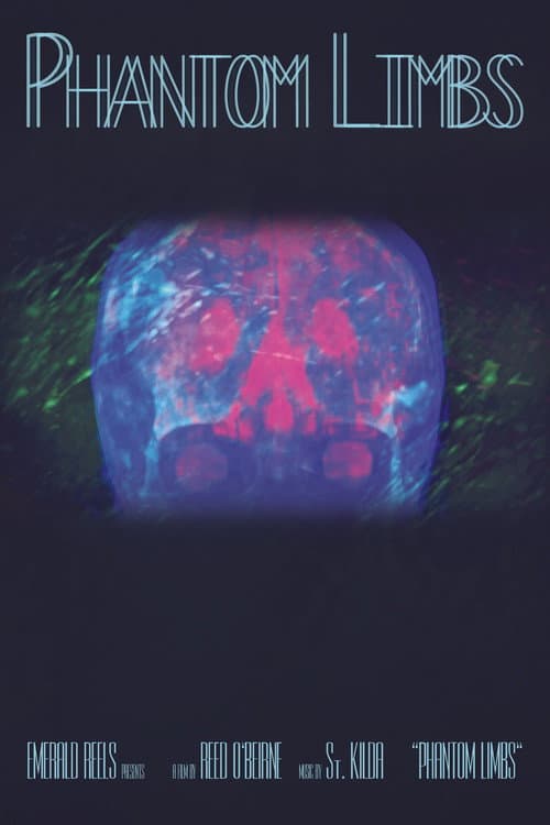 Poster for Phantom Limbs