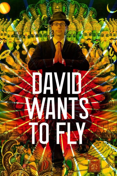 Poster for David Wants to Fly
