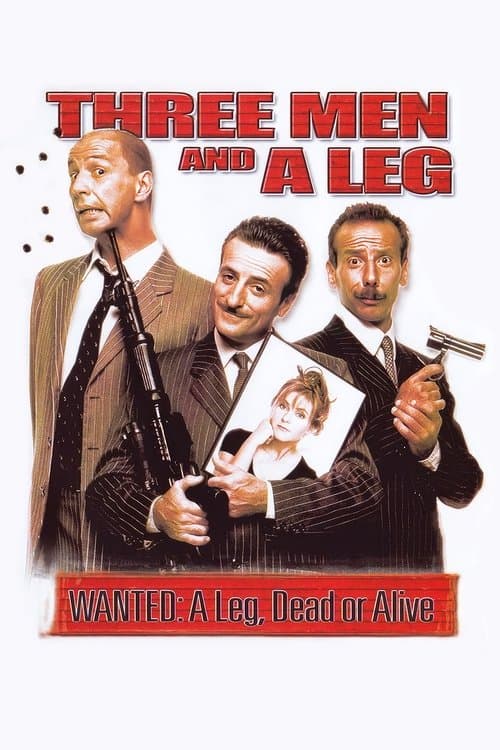 Poster for Three Men and a Leg