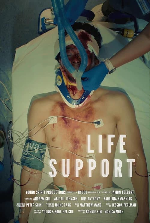 Poster for Life Support