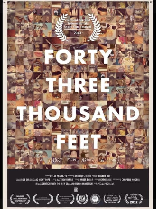 Poster for 43,000 Feet
