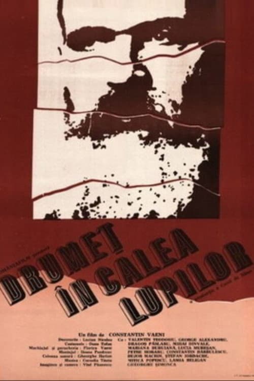 Poster for Drumeț în calea lupilor