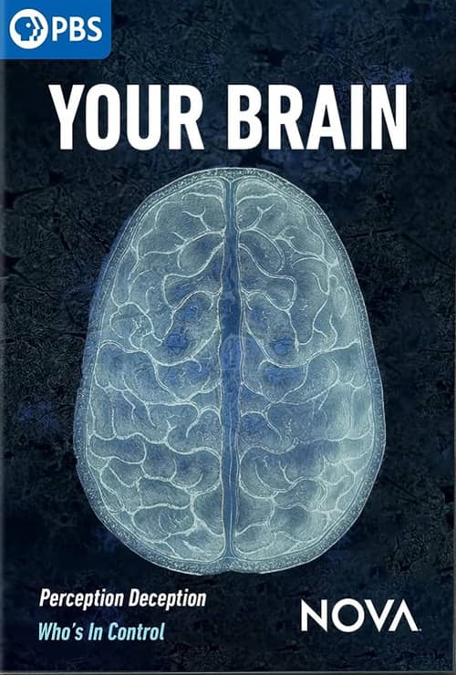 Poster for Your Brain
