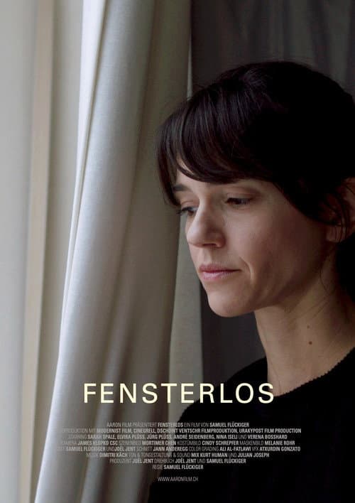Poster for Fensterlos