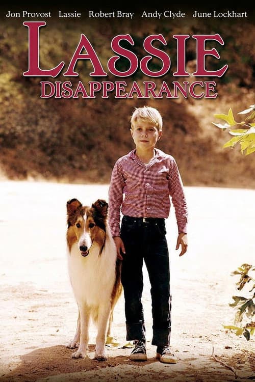 Poster for Lassie: Disappearance