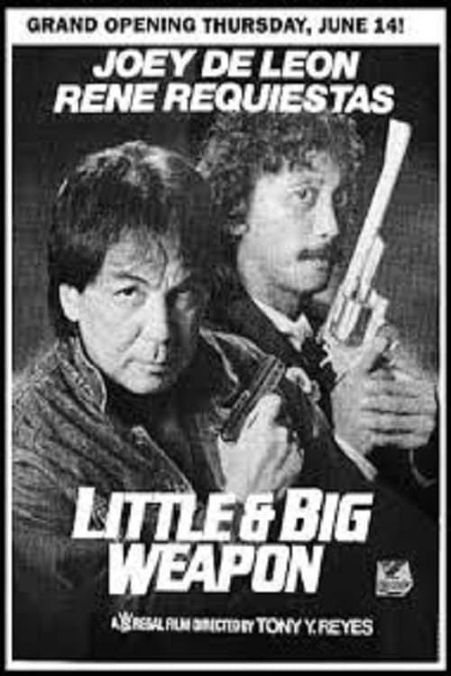 Poster for Little & Big Weapon