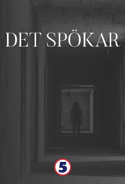 Poster for Det Spökar