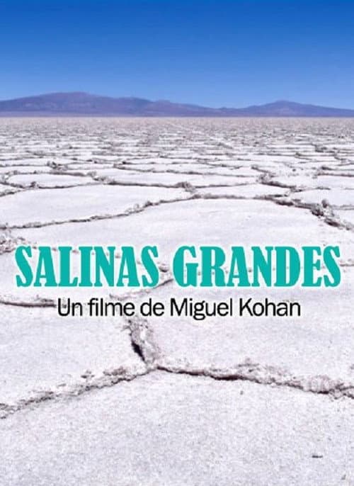 Poster for Salinas grandes