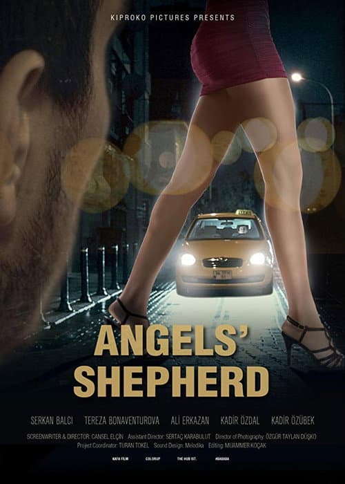 Poster for Angels'Shepherd
