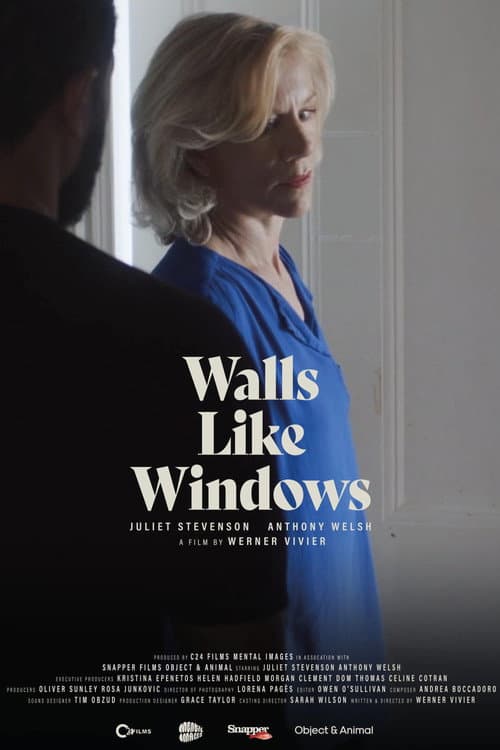 Poster for Walls Like Windows