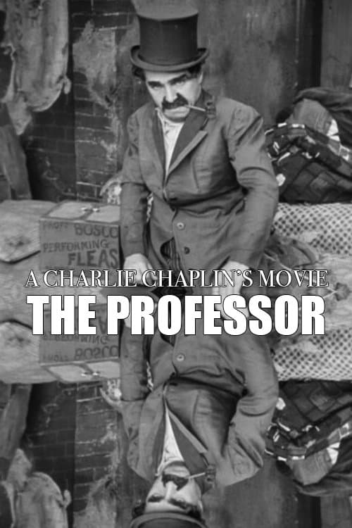 Poster for The Professor