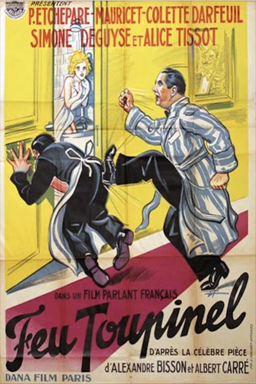 Poster for Feu Toupinel