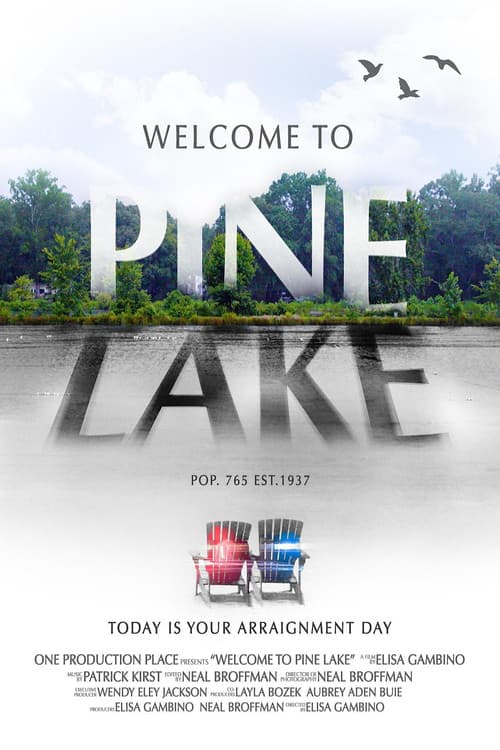 Poster for Welcome to Pine Lake