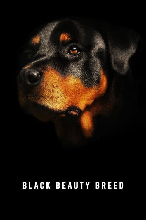 Poster for Black Beauty Breed