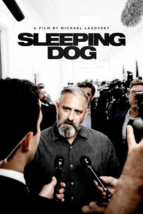 Poster for Sleeping Dog