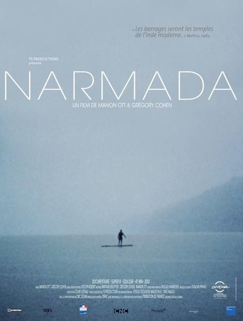 Poster for Narmada