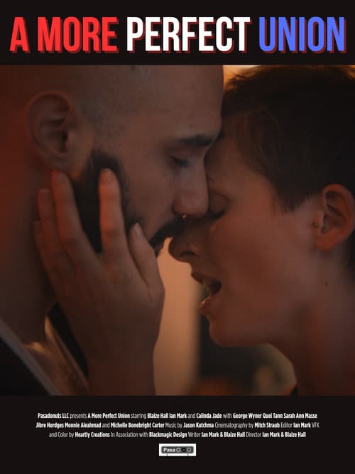 Poster for A More Perfect Union