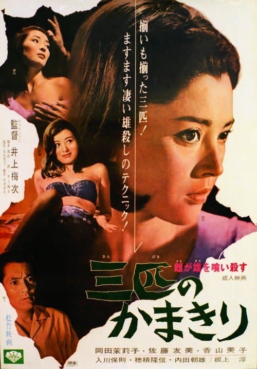 Poster for The Stronger Sex